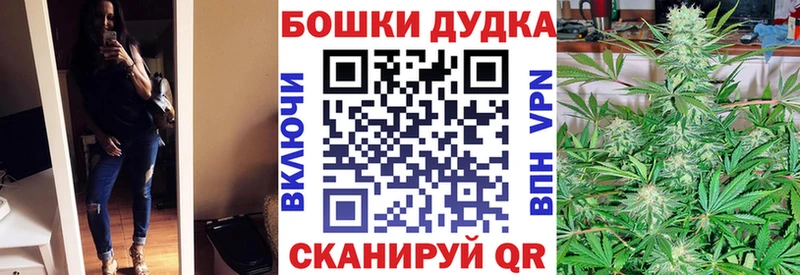 Магазины продажи наркотиков Тосно Галлюциногенные грибы Каннабис АМФЕТАМИН ГАШИШ Мефедрон Alpha PVP Кокаин