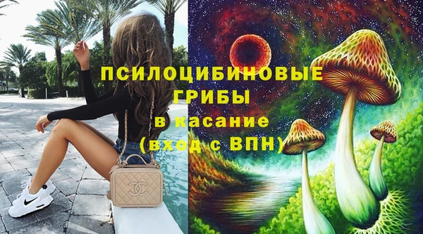 круглые Осинники