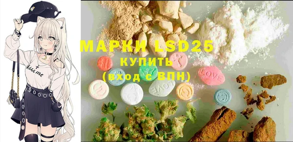 ECSTASY Пересвет