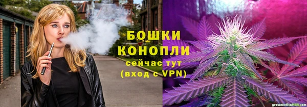 круглые Осинники