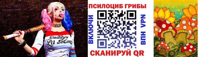 shop как зайти даркнет сайт Тосно Псилоцибиновые грибы ЛСД