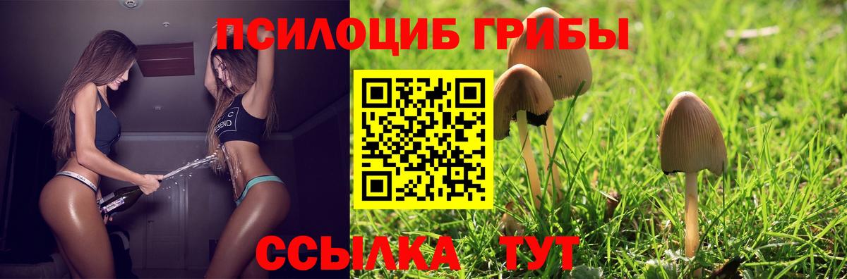 Тосно  Галлюциногенные грибы Magic Shrooms  Галлюциногенные грибы мухоморы  Вход с VPN 